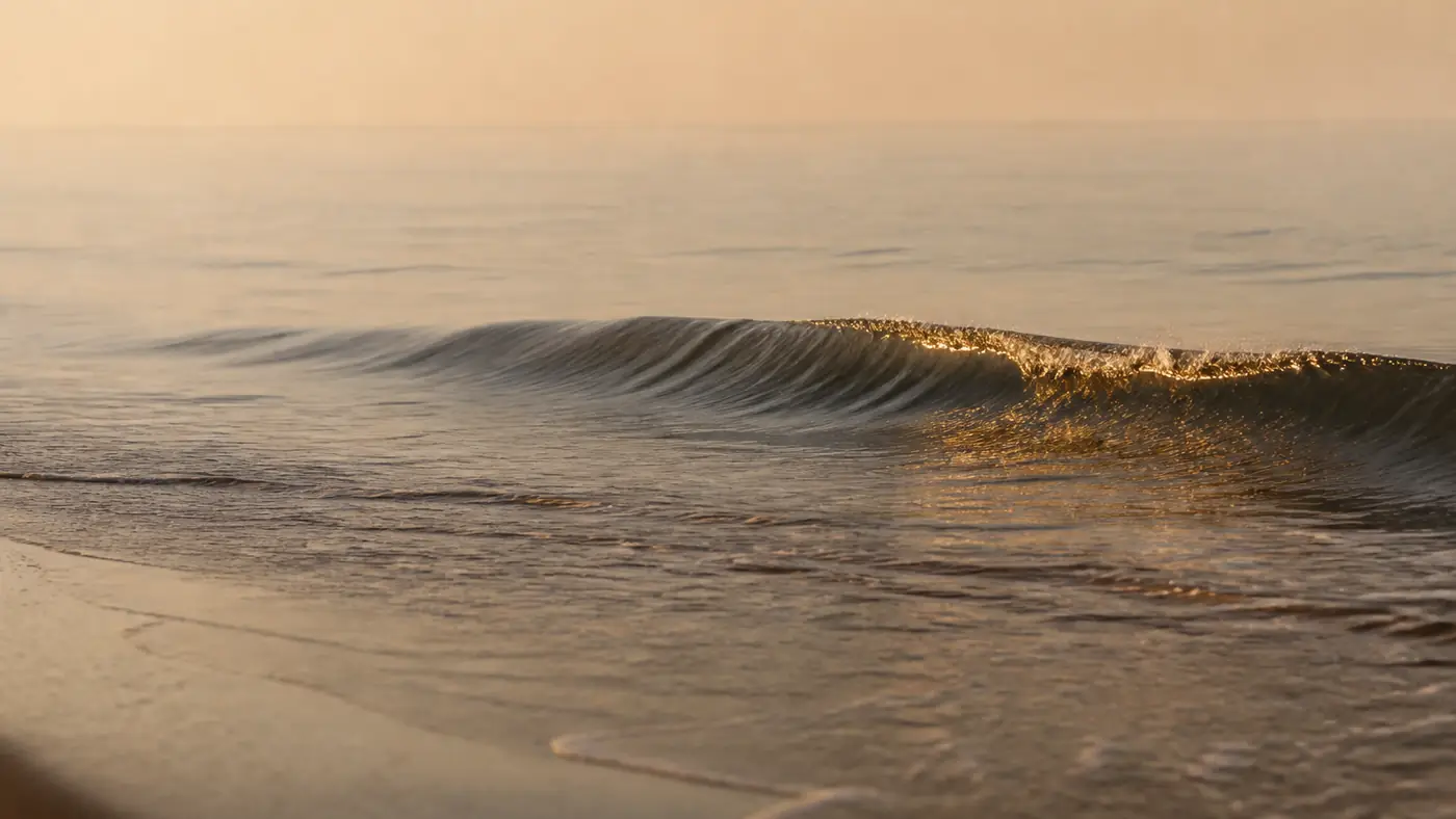 Le craving : la vague qui monte, et qui redescend