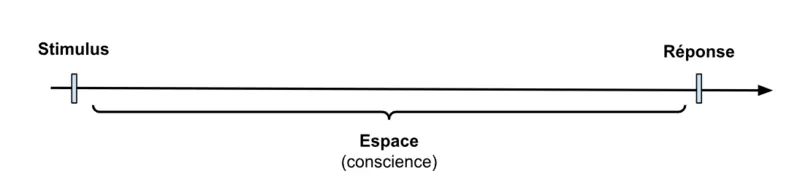 L'illustration du concept de Viktor Frankl (stimulus, espace et réponse)
