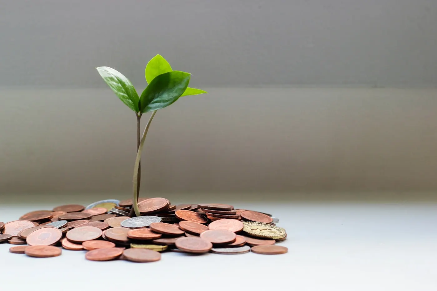 Putting the investment in support into perspective