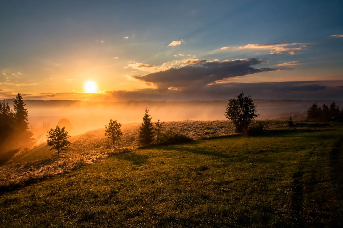 A fresh start — morning light
